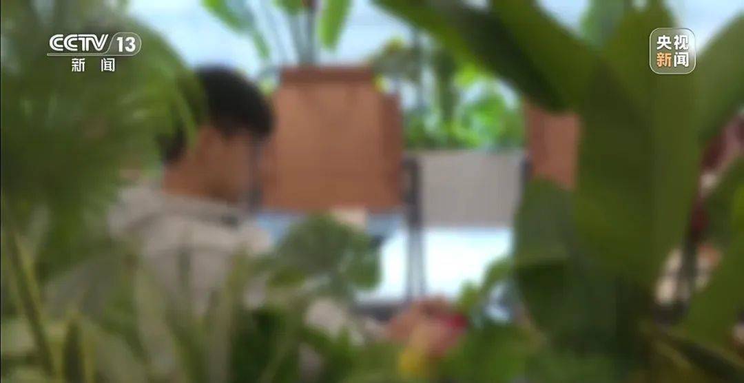 足球平台出租网_细节披露！18岁高中生被骗至缅甸：不听话白天暴晒晚上挨打足球平台出租网，被迫去搞网恋诈骗