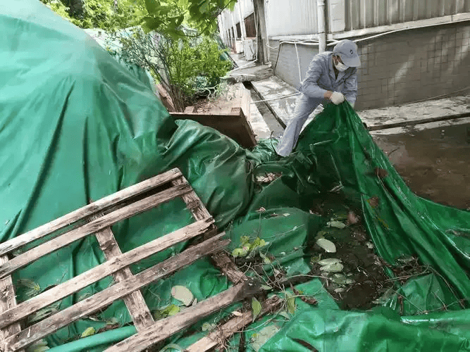 皇冠信用网账号注册_家里的这几个地方皇冠信用网账号注册，正悄悄“养”出花斑蚊！快自查→